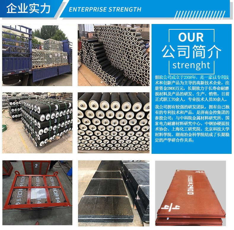 調(diào)心托輥廠家(圖6)